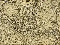 An illustration from Magnetische Kraftfelder : die Erscheinungen des Magnetismus, Elektromagnetismus und der Induktion dargestellt auf Grund des Kraftlinien-Begriffe (1905)