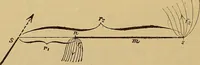 An illustration from Magnetische Kraftfelder : die Erscheinungen des Magnetismus, Elektromagnetismus und der Induktion dargestellt auf Grund des Kraftlinien-Begriffe (1905)