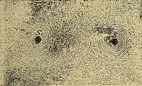 Picture 55 of 112 from Magnetische Kraftfelder : die Erscheinungen des Magnetismus, Elektromagnetismus und der Induktion dargestellt auf Grund des Kraftlinien-Begriffe (1905), leaf 178