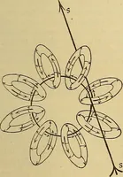 An illustration from Magnetische Kraftfelder : die Erscheinungen des Magnetismus, Elektromagnetismus und der Induktion dargestellt auf Grund des Kraftlinien-Begriffe (1905)