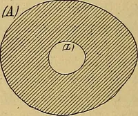 An illustration from Magnetische Kraftfelder : die Erscheinungen des Magnetismus, Elektromagnetismus und der Induktion dargestellt auf Grund des Kraftlinien-Begriffe (1905)