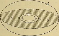 An illustration from Magnetische Kraftfelder : die Erscheinungen des Magnetismus, Elektromagnetismus und der Induktion dargestellt auf Grund des Kraftlinien-Begriffe (1905)