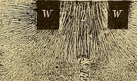 An illustration from Magnetische Kraftfelder : die Erscheinungen des Magnetismus, Elektromagnetismus und der Induktion dargestellt auf Grund des Kraftlinien-Begriffe (1905)