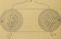 An illustration from Magnetische Kraftfelder : die Erscheinungen des Magnetismus, Elektromagnetismus und der Induktion dargestellt auf Grund des Kraftlinien-Begriffe (1905)
