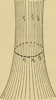 Picture 27 of 112 from Magnetische Kraftfelder : die Erscheinungen des Magnetismus, Elektromagnetismus und der Induktion dargestellt auf Grund des Kraftlinien-Begriffe (1905), leaf 98