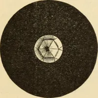 Picture 25 of 59 from Magnetismus und Hypnotismus; eine Darstellung dieses Gebietes, mit besonderer Berücksichtigung der Beziehungen zwischen dem mineralischen Magnetismus, dem sogenannten thierischen Magnetismus und dem Hypnotismus (1895), leaf 114