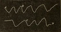 An illustration from Magnetismus und Hypnotismus; eine Darstellung dieses Gebietes, mit besonderer Berücksichtigung der Beziehungen zwischen dem mineralischen Magnetismus, dem sogenannten thierischen Magnetismus und dem Hypnotismus (1895)