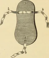 Picture 4 of 59 from Magnetismus und Hypnotismus; eine Darstellung dieses Gebietes, mit besonderer Berücksichtigung der Beziehungen zwischen dem mineralischen Magnetismus, dem sogenannten thierischen Magnetismus und dem Hypnotismus (1895), leaf 35
