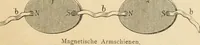 Picture 6 of 59 from Magnetismus und Hypnotismus; eine Darstellung dieses Gebietes, mit besonderer Berücksichtigung der Beziehungen zwischen dem mineralischen Magnetismus, dem sogenannten thierischen Magnetismus und dem Hypnotismus (1895), leaf 36
