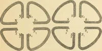 Picture 19 of 59 from Magnetismus und Hypnotismus; eine Darstellung dieses Gebietes, mit besonderer Berücksichtigung der Beziehungen zwischen dem mineralischen Magnetismus, dem sogenannten thierischen Magnetismus und dem Hypnotismus (1895), leaf 96