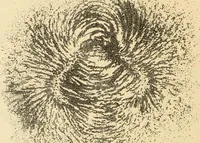 An illustration from Magnetismus und Hypnotismus; eine Darstellung dieses Gebietes, mit besonderer Berücksichtigung der Beziehungen zwischen dem mineralischen Magnetismus, dem sogenannten thierischen Magnetismus und dem Hypnotismus (1895)