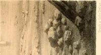 An illustration from Magnetismus und Mesmerismus, oder Physische und geistige Kräfte der Natur (1862)