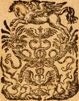 An illustration from Magni Hippocratis medicorum omnium facile principis Opera omnia quae extant in VIII sectiones ex Erotiani mente distributa (1596)