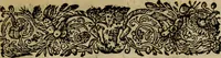 An illustration from Magni Hippocratis Coi opera omnia (1665)