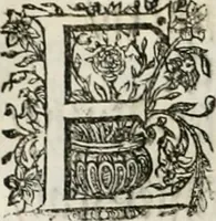 An illustration from Magnus in ortu; maximus in meridie; major in occasu : semperque serenissimus principum sol Maximilianus Emanuel, utr. Bav. & Palat. Sup. Dux., Com. Pal. Rheni, S.R. Imp. Archidap. & Elector, Landr. Leucht. &c., seu, Apparatus funebris litterarius extremis honoribus ejusdem Serenmi. ac Potentissimi Princ. Electoris adornatus, cùm in Elect. Templo Cler. Reg. solennes exequiae eidem piissimè defuncto electori celebrarentur (1727)