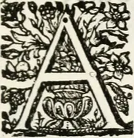 An illustration from Magnus in ortu; maximus in meridie; major in occasu : semperque serenissimus principum sol Maximilianus Emanuel, utr. Bav. & Palat. Sup. Dux., Com. Pal. Rheni, S.R. Imp. Archidap. & Elector, Landr. Leucht. &c., seu, Apparatus funebris litterarius extremis honoribus ejusdem Serenmi. ac Potentissimi Princ. Electoris adornatus, cùm in Elect. Templo Cler. Reg. solennes exequiae eidem piissimè defuncto electori celebrarentur (1727)