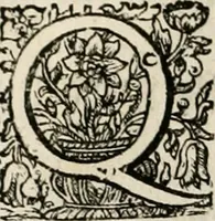 An illustration from Magnus in ortu; maximus in meridie; major in occasu : semperque serenissimus principum sol Maximilianus Emanuel, utr. Bav. & Palat. Sup. Dux., Com. Pal. Rheni, S.R. Imp. Archidap. & Elector, Landr. Leucht. &c., seu, Apparatus funebris litterarius extremis honoribus ejusdem Serenmi. ac Potentissimi Princ. Electoris adornatus, cùm in Elect. Templo Cler. Reg. solennes exequiae eidem piissimè defuncto electori celebrarentur (1727)