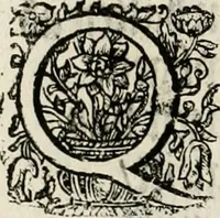 An illustration from Magnus in ortu; maximus in meridie; major in occasu : semperque serenissimus principum sol Maximilianus Emanuel, utr. Bav. & Palat. Sup. Dux., Com. Pal. Rheni, S.R. Imp. Archidap. & Elector, Landr. Leucht. &c., seu, Apparatus funebris litterarius extremis honoribus ejusdem Serenmi. ac Potentissimi Princ. Electoris adornatus, cùm in Elect. Templo Cler. Reg. solennes exequiae eidem piissimè defuncto electori celebrarentur (1727)