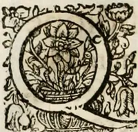 An illustration from Magnus in ortu; maximus in meridie; major in occasu : semperque serenissimus principum sol Maximilianus Emanuel, utr. Bav. & Palat. Sup. Dux., Com. Pal. Rheni, S.R. Imp. Archidap. & Elector, Landr. Leucht. &c., seu, Apparatus funebris litterarius extremis honoribus ejusdem Serenmi. ac Potentissimi Princ. Electoris adornatus, cùm in Elect. Templo Cler. Reg. solennes exequiae eidem piissimè defuncto electori celebrarentur (1727)