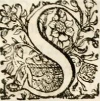 An illustration from Magnus in ortu; maximus in meridie; major in occasu : semperque serenissimus principum sol Maximilianus Emanuel, utr. Bav. & Palat. Sup. Dux., Com. Pal. Rheni, S.R. Imp. Archidap. & Elector, Landr. Leucht. &c., seu, Apparatus funebris litterarius extremis honoribus ejusdem Serenmi. ac Potentissimi Princ. Electoris adornatus, cùm in Elect. Templo Cler. Reg. solennes exequiae eidem piissimè defuncto electori celebrarentur (1727)