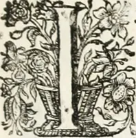 An illustration from Magnus in ortu; maximus in meridie; major in occasu : semperque serenissimus principum sol Maximilianus Emanuel, utr. Bav. & Palat. Sup. Dux., Com. Pal. Rheni, S.R. Imp. Archidap. & Elector, Landr. Leucht. &c., seu, Apparatus funebris litterarius extremis honoribus ejusdem Serenmi. ac Potentissimi Princ. Electoris adornatus, cùm in Elect. Templo Cler. Reg. solennes exequiae eidem piissimè defuncto electori celebrarentur (1727)
