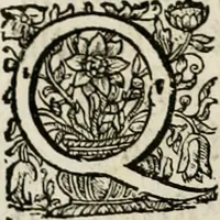 An illustration from Magnus in ortu; maximus in meridie; major in occasu : semperque serenissimus principum sol Maximilianus Emanuel, utr. Bav. & Palat. Sup. Dux., Com. Pal. Rheni, S.R. Imp. Archidap. & Elector, Landr. Leucht. &c., seu, Apparatus funebris litterarius extremis honoribus ejusdem Serenmi. ac Potentissimi Princ. Electoris adornatus, cùm in Elect. Templo Cler. Reg. solennes exequiae eidem piissimè defuncto electori celebrarentur (1727)