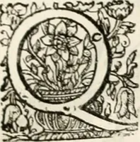An illustration from Magnus in ortu; maximus in meridie; major in occasu : semperque serenissimus principum sol Maximilianus Emanuel, utr. Bav. & Palat. Sup. Dux., Com. Pal. Rheni, S.R. Imp. Archidap. & Elector, Landr. Leucht. &c., seu, Apparatus funebris litterarius extremis honoribus ejusdem Serenmi. ac Potentissimi Princ. Electoris adornatus, cùm in Elect. Templo Cler. Reg. solennes exequiae eidem piissimè defuncto electori celebrarentur (1727)
