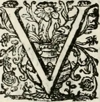 An illustration from Magnus in ortu; maximus in meridie; major in occasu : semperque serenissimus principum sol Maximilianus Emanuel, utr. Bav. & Palat. Sup. Dux., Com. Pal. Rheni, S.R. Imp. Archidap. & Elector, Landr. Leucht. &c., seu, Apparatus funebris litterarius extremis honoribus ejusdem Serenmi. ac Potentissimi Princ. Electoris adornatus, cùm in Elect. Templo Cler. Reg. solennes exequiae eidem piissimè defuncto electori celebrarentur (1727)