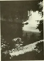 An illustration from A Magyarországi művészet története (1900)