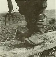Picture 81 of 208 from A Magyarországi művészet története (1900), leaf 330