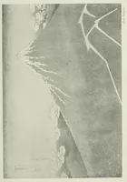 An illustration from Les maîtres de l'estampe japonaise .. (1914)