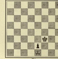 An illustration from The major tactics of chess: a treatise on evolutions; the proper employment of the forces in strategic, tactical, and logistic planes (1898)