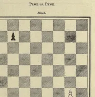 Picture 10 of 12 from The major tactics of chess: a treatise on evolutions; the proper employment of the forces in strategic, tactical, and logistic planes (1898), leaf 237