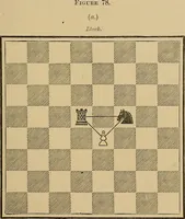An illustration from The major tactics of chess: a treatise on evolutions; the proper employment of the forces in strategic, tactical, and logistic planes (1898)