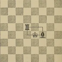 An illustration from The major tactics of chess: a treatise on evolutions; the proper employment of the forces in strategic, tactical, and logistic planes (1898)
