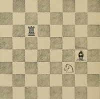 An illustration from The major tactics of chess: a treatise on evolutions; the proper employment of the forces in strategic, tactical, and logistic planes (1898)