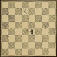 An illustration from The major tactics of chess: a treatise on evolutions; the proper employment of the forces in strategic, tactical, and logistic planes (1898)
