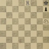 An illustration from The major tactics of chess: a treatise on evolutions; the proper employment of the forces in strategic, tactical, and logistic planes (1898)