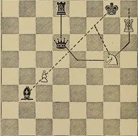 An illustration from The major tactics of chess: a treatise on evolutions; the proper employment of the forces in strategic, tactical, and logistic planes (1898)