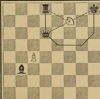 An illustration from The major tactics of chess: a treatise on evolutions; the proper employment of the forces in strategic, tactical, and logistic planes (1898)