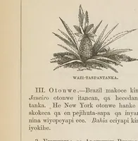 Picture 5 of 9 from Maka-oyakapi. Guyot's Elementary geography, in the Dakota language (1876), leaf 62