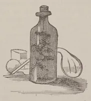 An illustration from The Make and mend club. A story of boys' adventures, sports and experiments (1883)