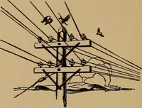 An illustration from Making advertisements and making them pay (1920)