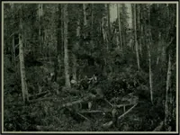 An illustration from The making of a great Canadian railway ; the story of the search for and discovery of the route, and the construction of the nearly completed Grand Trunk Pacific Railway from the Atlantic to the Pacific, with some account of the hardships and stirring adventures of its constructors in unexplored country (1912)