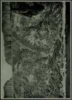An illustration from The making of a great Canadian railway ; the story of the search for and discovery of the route, and the construction of the nearly completed Grand Trunk Pacific Railway from the Atlantic to the Pacific, with some account of the hardships and stirring adventures of its constructors in unexplored country (1912)