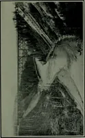 An illustration from The making of a great Canadian railway ; the story of the search for and discovery of the route, and the construction of the nearly completed Grand Trunk Pacific Railway from the Atlantic to the Pacific, with some account of the hardships and stirring adventures of its constructors in unexplored country (1912)