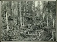 An illustration from The making of a great Canadian railway; the story of the search for and discovery of the search for and discovery of the route, and the constru ction of the nearly completed Grand trunk Pacific railway from the Atlantic to the Pacific, with some account of the hardships and stirring adventures of its constructors in unexplored country (1912)