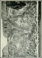 An illustration from The making of a great Canadian railway; the story of the search for and discovery of the search for and discovery of the route, and the constru ction of the nearly completed Grand trunk Pacific railway from the Atlantic to the Pacific, with some account of the hardships and stirring adventures of its constructors in unexplored country (1912)
