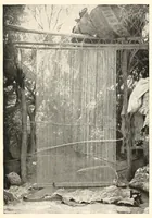 Picture 8 of 11 from The making of a Navajo blanket (1902), leaf 14