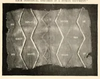 Picture 1 of 11 from The making of a Navajo blanket (1902), leaf 7